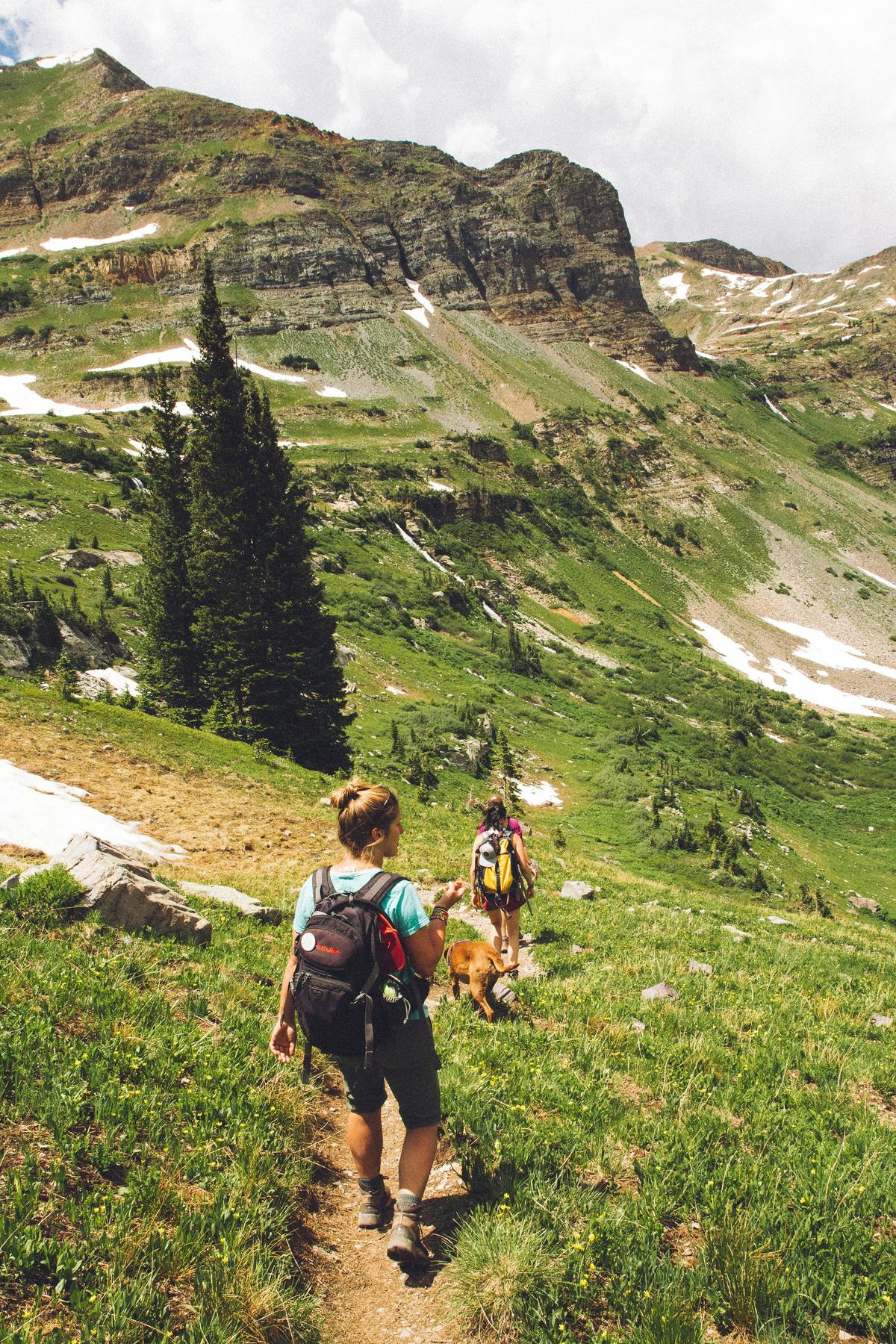 Zwei Personen wandern gemeinsam mit einem Hund auf einem Bergpfad, von hinten gesehen